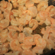 Image for article titled Let’s make Shrimp Scampi with Papa John’s garlic sauce